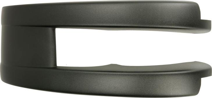 BLIC 1021-30-005785P - Carcasa, oglinda exterioara aaoparts.ro