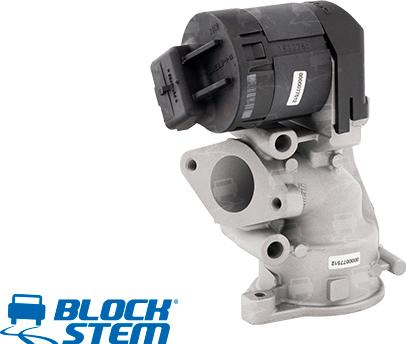 BlockStem EGR0042 - Supapa EGR aaoparts.ro