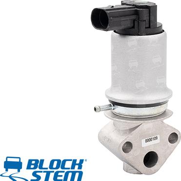 BlockStem EGR0014 - Supapa EGR aaoparts.ro