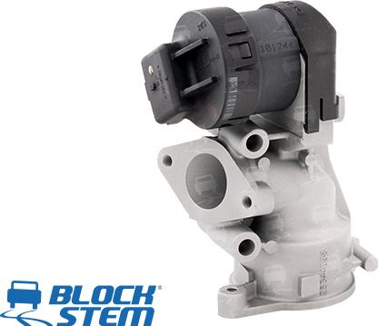 BlockStem EGR0015 - Supapa EGR aaoparts.ro