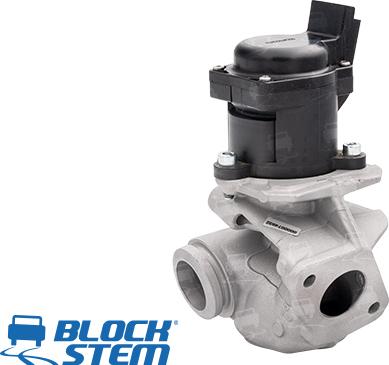 BlockStem EGR0033 - Supapa EGR aaoparts.ro