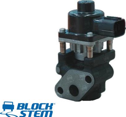 BlockStem EGR0158 - Supapa EGR aaoparts.ro