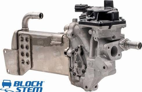 BlockStem EGR0254 - Supapa EGR aaoparts.ro