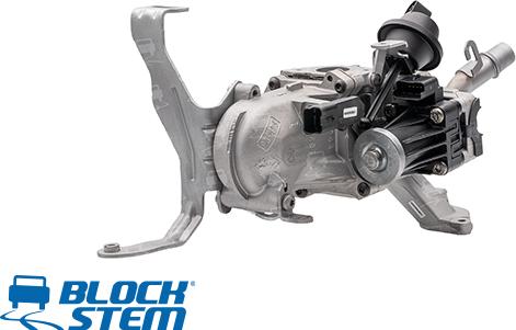 BlockStem EGR0268 - Supapa EGR aaoparts.ro