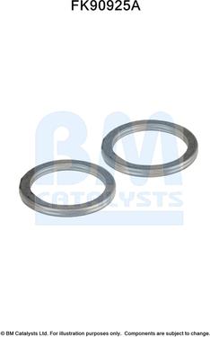 BM Catalysts FK90925 - Set montare, catalizator aaoparts.ro
