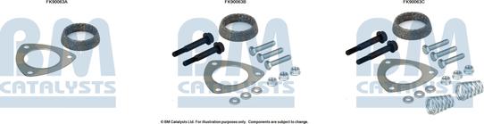 BM Catalysts FK90063 - Set montare, catalizator aaoparts.ro