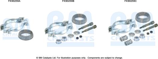 BM Catalysts FK90259 - Set montare, catalizator aaoparts.ro
