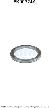 BM Catalysts FK90724 - Set montare, catalizator aaoparts.ro