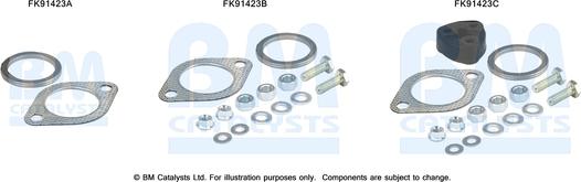 BM Catalysts FK91423 - Set montare, catalizator aaoparts.ro