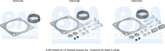 BM Catalysts FK91219 - Set montare, catalizator aaoparts.ro
