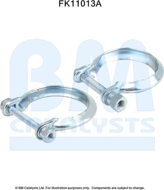 BM Catalysts FK11013 - Set montaj, filtru funingine / particule aaoparts.ro