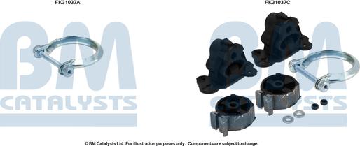 BM Catalysts FK31037 - Set montare, catalizator aaoparts.ro