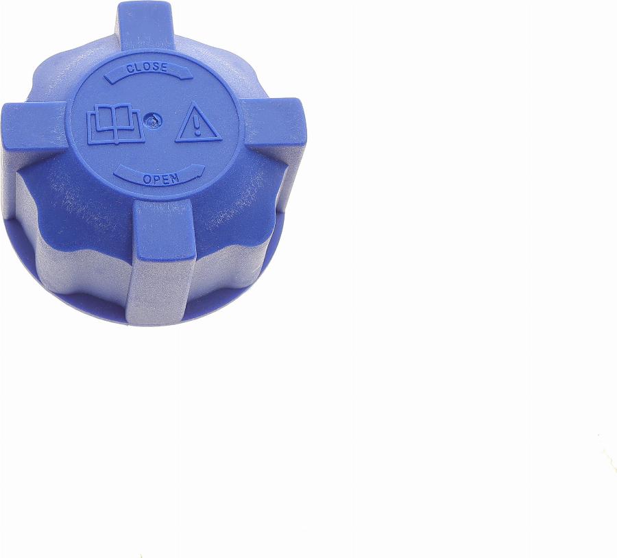 BOGAP A4211102 - Buson,vas expansiune aaoparts.ro