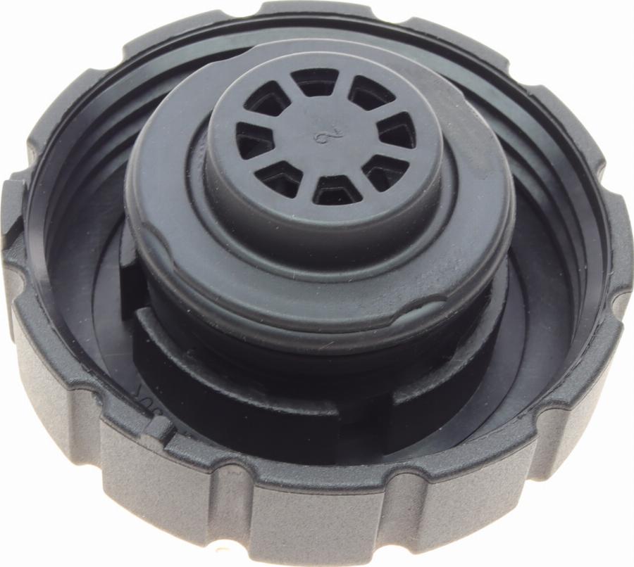 BOGAP C4211100 - Buson,vas expansiune aaoparts.ro