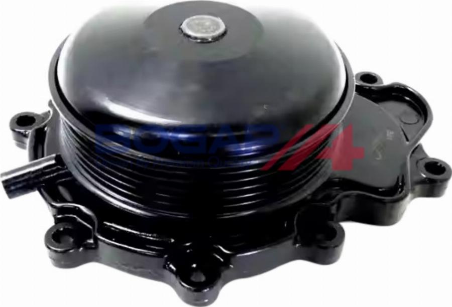 BOGAP C4234157 - Pompa apa aaoparts.ro
