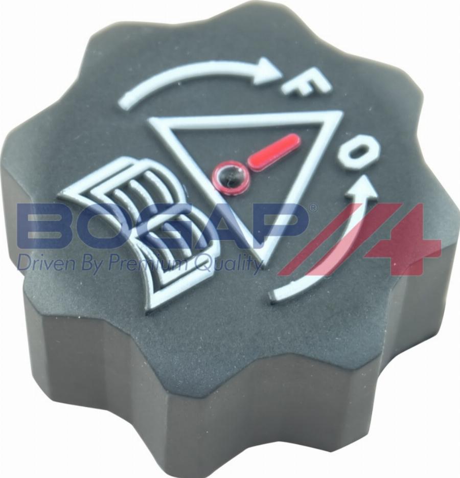 BOGAP P4211100 - Buson,vas expansiune aaoparts.ro