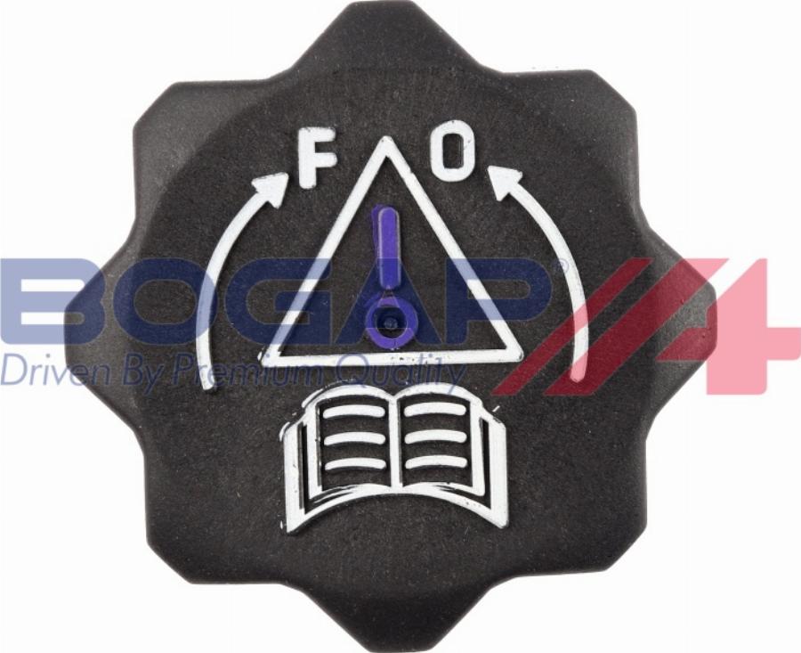 BOGAP P4211101 - Buson,vas expansiune aaoparts.ro