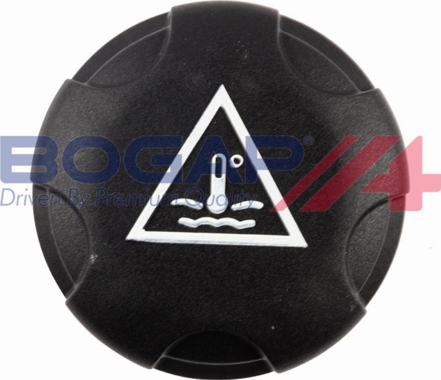 BOGAP P4211102 - Buson,vas expansiune aaoparts.ro