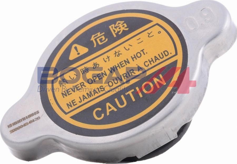 BOGAP T4211100 - Buson,vas expansiune aaoparts.ro