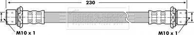 Borg & Beck BBH7102 - Furtun frana aaoparts.ro