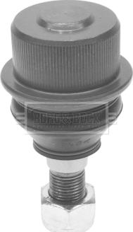 Borg & Beck BBJ5591 - Articulatie sarcina / ghidare aaoparts.ro