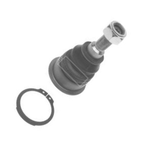 Borg & Beck BBJ5586 - Articulatie sarcina / ghidare aaoparts.ro