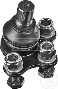 Borg & Beck BBJ5608 - Articulatie sarcina / ghidare aaoparts.ro