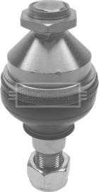 Borg & Beck BBJ5199 - Articulatie sarcina / ghidare aaoparts.ro