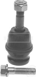 Borg & Beck BBJ5217 - Articulatie sarcina / ghidare aaoparts.ro