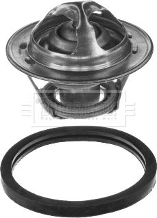 Borg & Beck BBT005 - Termostat,lichid racire aaoparts.ro