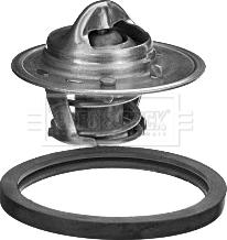 Borg & Beck BBT348 - Termostat,lichid racire aaoparts.ro