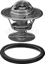 Borg & Beck BBT350 - Termostat,lichid racire aaoparts.ro