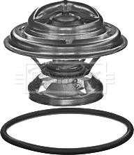 Borg & Beck BBT360 - Termostat,lichid racire aaoparts.ro