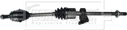 Borg & Beck BDS1103 - Planetara aaoparts.ro