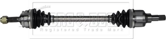 Borg & Beck BDS1119 - Planetara aaoparts.ro