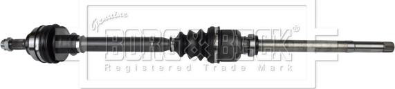 Borg & Beck BDS1173 - Planetara aaoparts.ro