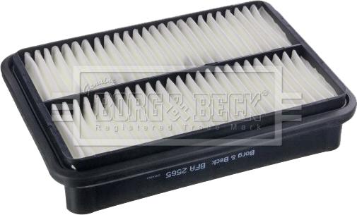 Borg & Beck BFA2565 - Filtru aer aaoparts.ro