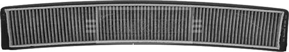 Borg & Beck BFC1066 - Filtru, aer habitaclu aaoparts.ro
