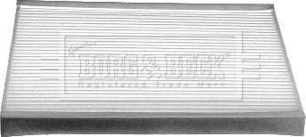 Borg & Beck BFC1009 - Filtru, aer habitaclu aaoparts.ro