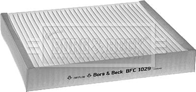 Borg & Beck BFC1029 - Filtru, aer habitaclu aaoparts.ro