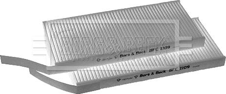 Borg & Beck BFC1109 - Filtru, aer habitaclu aaoparts.ro