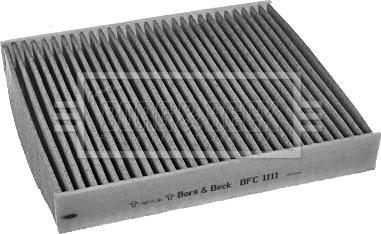 Borg & Beck BFC1111 - Filtru, aer habitaclu aaoparts.ro