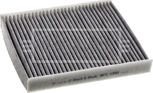 Borg & Beck BFC1301 - Filtru, aer habitaclu aaoparts.ro