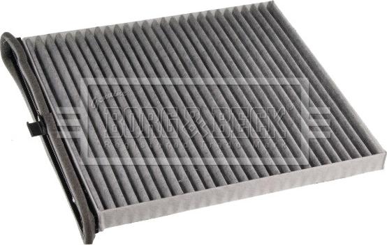 Borg & Beck BFC1310 - Filtru, aer habitaclu aaoparts.ro