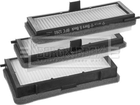 Borg & Beck BFC1261 - Filtru, aer habitaclu aaoparts.ro