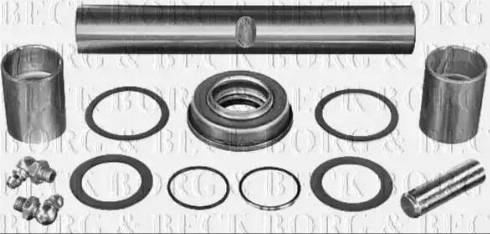Borg & Beck BKP5807W - Set reparatie, pivot aaoparts.ro
