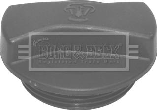 Borg & Beck BRC105 - Buson,vas expansiune aaoparts.ro