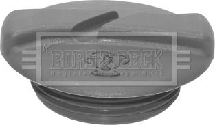 Borg & Beck BRC113 - Buson,vas expansiune aaoparts.ro