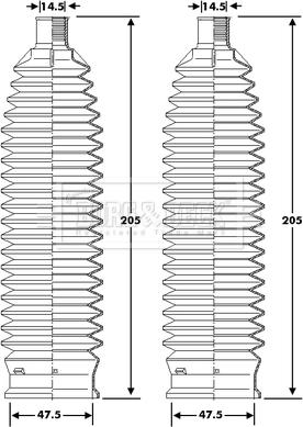 Borg & Beck BSG3428 - Ansamblu burduf, directie aaoparts.ro