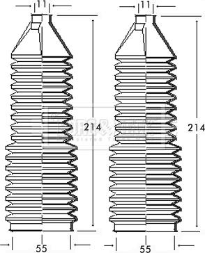 Borg & Beck BSG3098 - Ansamblu burduf, directie aaoparts.ro